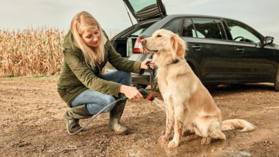 Akumulatorski čistači Fontus 18V - 4