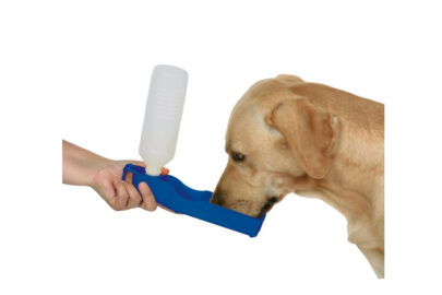 Putna flaša za piće 500ml - 2