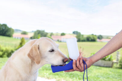 Putna flaša za piće 500ml - 3